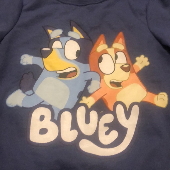 Source Unknown Shirts & Tops Bluey Kids 3t Crew Neck Light Weight